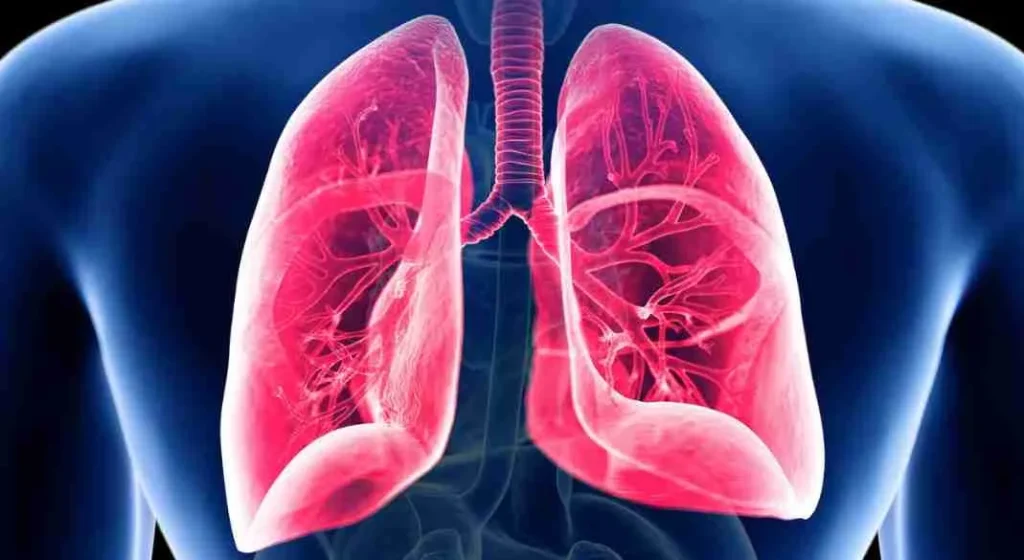 La Bronquiolitis